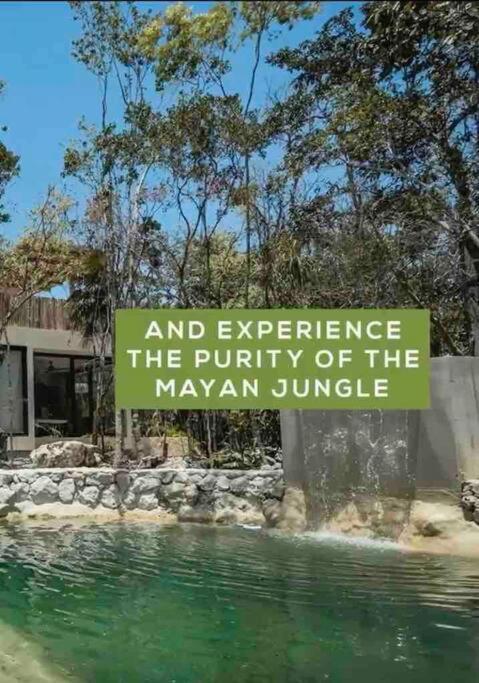 Villa Xuncari In The Heart Of The Jungle Tulum Exterior photo